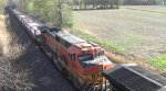 BNSF 4428